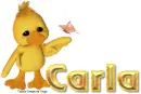 Ducky Carla