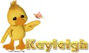 Ducky Kayleigh