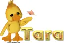 Ducky Tara