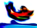 majetic whale