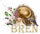 Bren