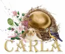 Carla