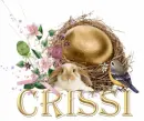 Chrissi