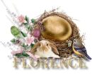 Florence