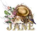 Jane