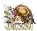 Jessi