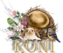 Roni