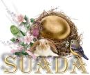 Suada