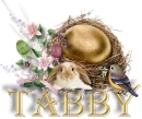 Tabby