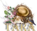 Tara
