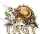 Tagy