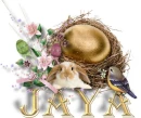 Jaya