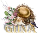 Giina