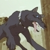 blue wolfsrain