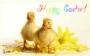 Happy Easter!