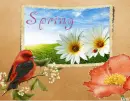 Spring