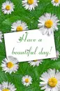 Have a Beautiful Day.