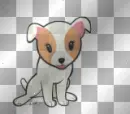 cute dogz