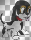 cutie beagle