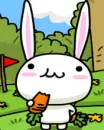 Cute Bunny