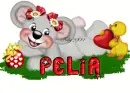 pelia