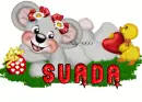 suada