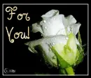 For you