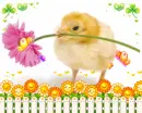 Easter