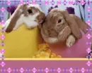 Easter