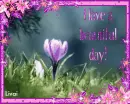 Have a beautiful day!