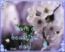 Have a beautiful day!