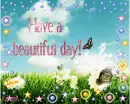 Have a beautiful day!