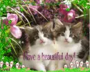 Have a beautiful day!
