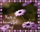 Have a beautiful day!
