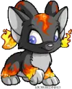 Fire Acara