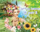 Spring came,at last !!!