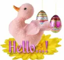 Hello