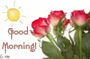Good morning