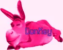 funky donky