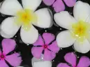 Floating Flowers