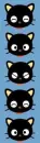 choco cat