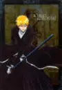 Ichigo Bankai