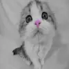 nose change