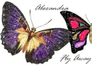Alexandra Butterfly