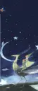 STARRY NITE