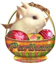 cute easter bunny parihan