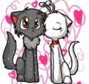 love kittens 