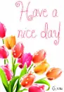 have a nice day