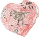 bird