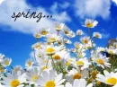 Springspring,se
